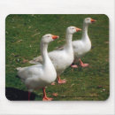 Suche nach gänse mousepads Bauernhof