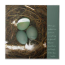 Suche nach buddha fliesen Sein