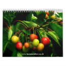 Suche nach gemüse kalender Blumen
