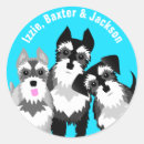 Suche nach niedlicher schnauzer aufkleber Miniaturschnauzer