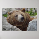 Suche nach kodiak poster Natur