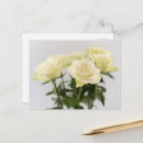 Suche nach schöne weiße rose postkarten Jede person