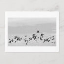 Suche nach fliegenvogel Tierwelt