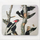 Suche nach vogelnest mousepads John