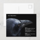 Suche nach crow postkarten Rabe