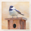 Suche nach vogelhaus untersetzer Für alle