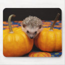 Suche nach igel mousepads Baby