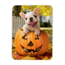 Suche nach jackolantern magnete Spaß