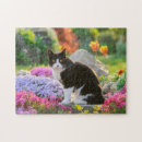 Suche nach black cat puzzle Cats