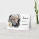 Suche nach hund mit blumen karten Für alle
