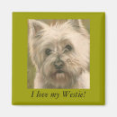 Suche nach westie magnete Tiere