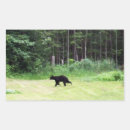 Suche nach schwarzbär aufkleber Natur