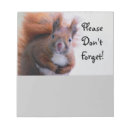 Suche nach eichhörnchen notizblock Natur