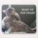 Suche nach nickerchen machen mousepads Katzen