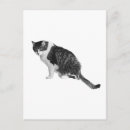 Suche nach freundliche katze postkarten Für alle