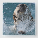 Suche nach labrador wanduhren Jagd