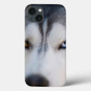 Suche nach alaska ipad hüllen Hund