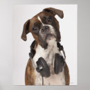 Suche nach kopfhörer poster Spaß