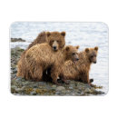 Suche nach kneipen magnete Tragen