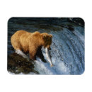 Suche nach brooke magnete Park