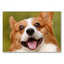 Suche nach hund tischkarten Haustier