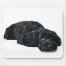 Suche nach cockerspaniel mousepads Niedlich