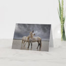 Suche nach camargue karten Wildpferd