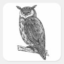 Suche nach zen doodle aufkleber Eule
