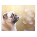 Suche nach mops notizblock Niedlich