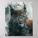 Suche nach schöne katzen poster Tier