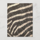 Suche nach zebrastreifen postkarten Jede person