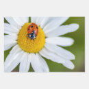 Suche nach teufel geschenkpapier Für alle