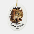 Suche nach niedliches eichhörnchen ornamente Tier