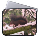 Suche nach eichhörnchen laptop schutzhüllen Fotografie