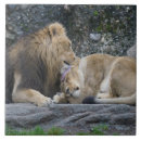 Suche nach löwen fliesen Lügnerin