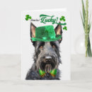 Suche nach schottischer terrier karten Hunde