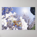 Suche nach wespe poster Natur