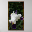 Suche nach epische poster Natur