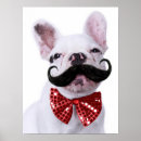 Suche nach mustache poster Bulldog