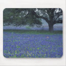 Suche nach eiche mousepads Blau