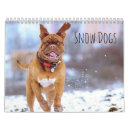 Suche nach eis kalender Winter