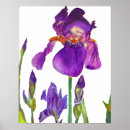 Suche nach iris blume poster Für sie