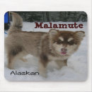 Suche nach schlitten mousepads Malamute