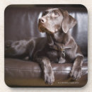 Suche nach er war hinter dem sofa untersetzer Zusammengehörigkeit