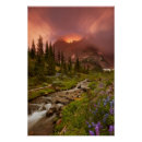 Suche nach kiefern poster Sonnenaufgang