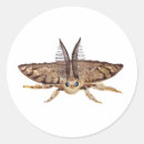 Suche nach motte aufkleber Schmetterlinge
