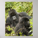 Suche nach ruanda poster Pflanzenfresser