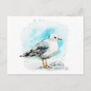 Suche nach studien postkarten Vogelvogel
