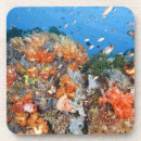 Suche nach indonesien untersetzer Tier