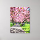 Suche nach sakura leinwandbilder Natur